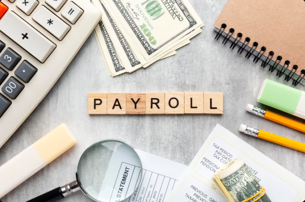 payroll software in pakistan