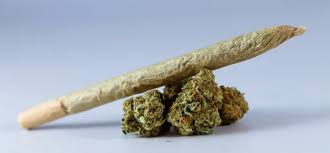 weed